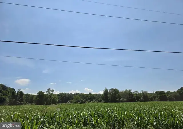 Chestnut, Mertztown