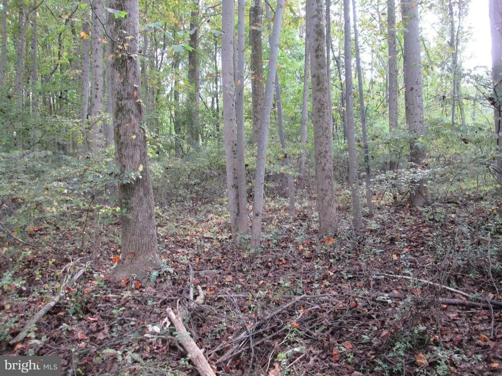 0 Forgedale Rd, Barto