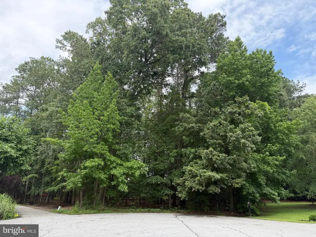 14680 Bar Harbor Ct, Issue