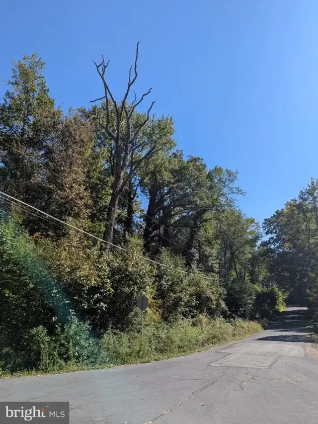 Quail Way, Havre De Grace