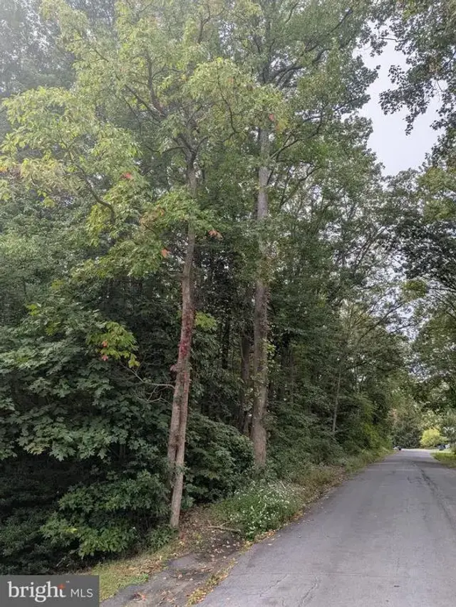 Fox Trl, Havre De Grace