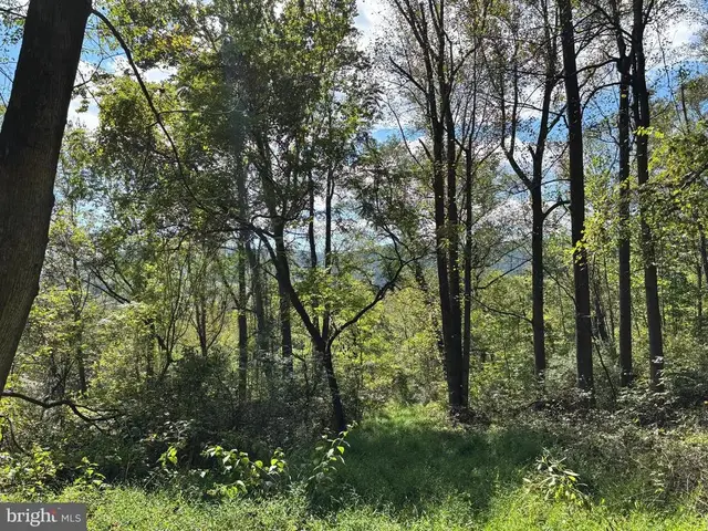 0 Harris Hollow Rd, Washington