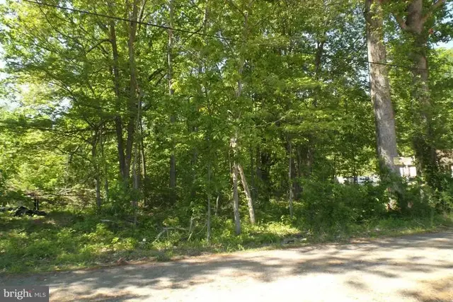 6563 Matthews Rd, Bryans Road