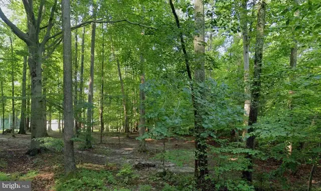 131 Brick Church Rd, Davidsonville