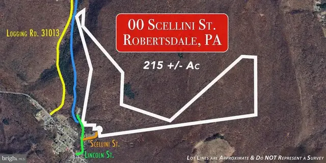 00 Scellini St, Robertsdale