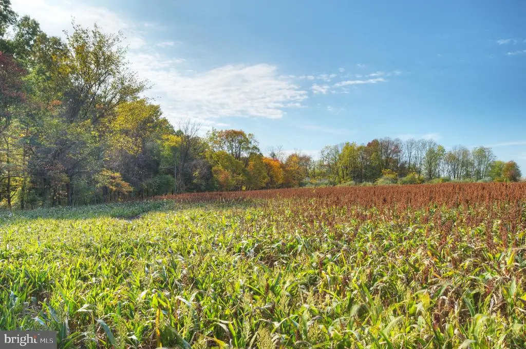 0 Mountain View, SKILLMAN