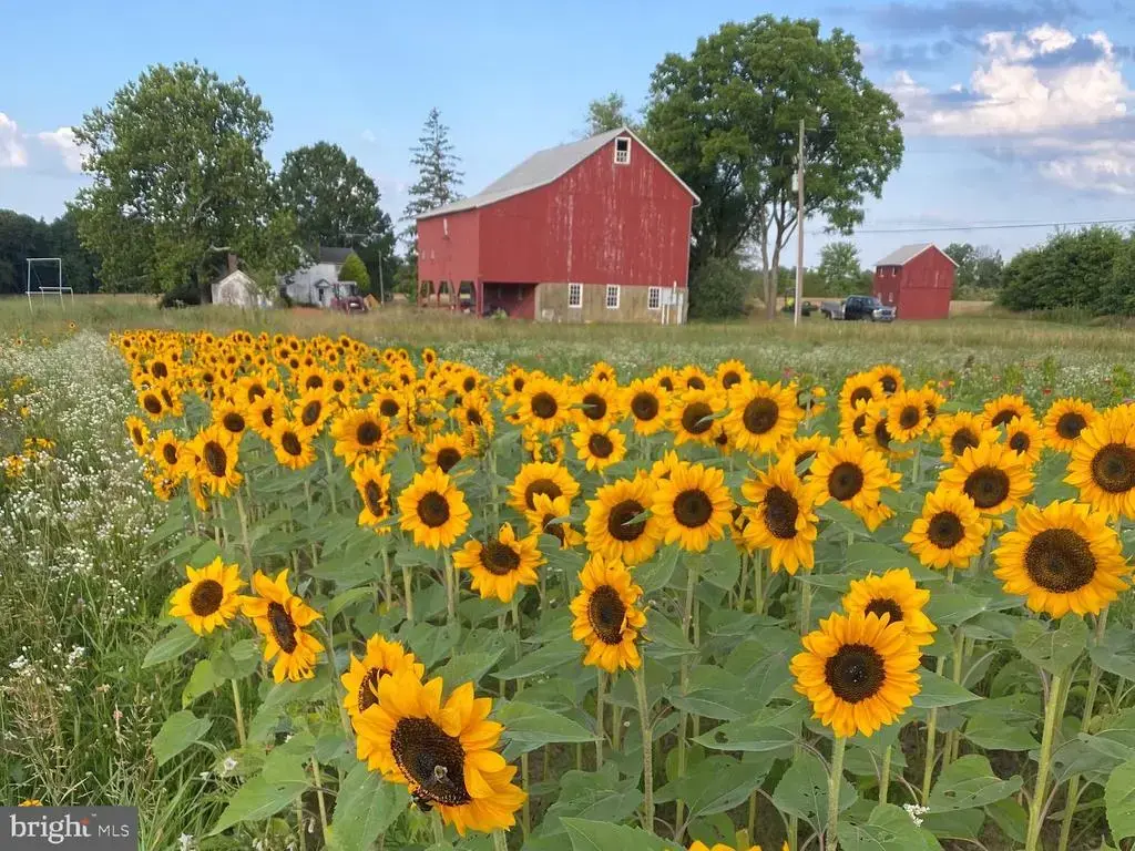 641 Cafferty Rd, OTTSVILLE