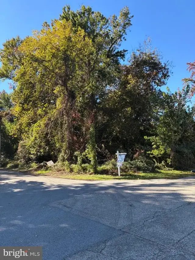 Bush Ave, Pasadena