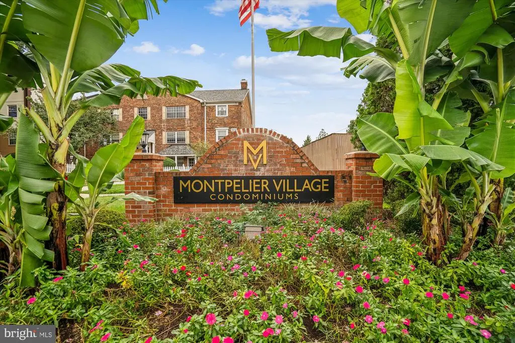 4421 Romlon St #1, Beltsville