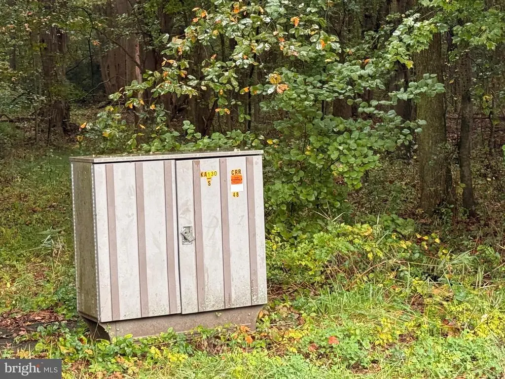 Black Swamp Road, FELTON