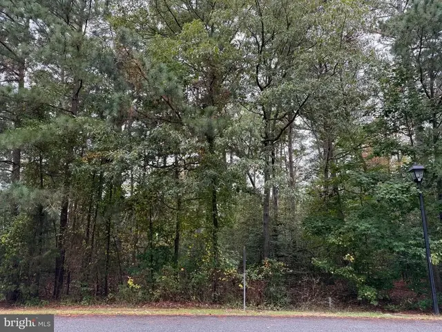 11240 Lord Baltimore Dr, Issue