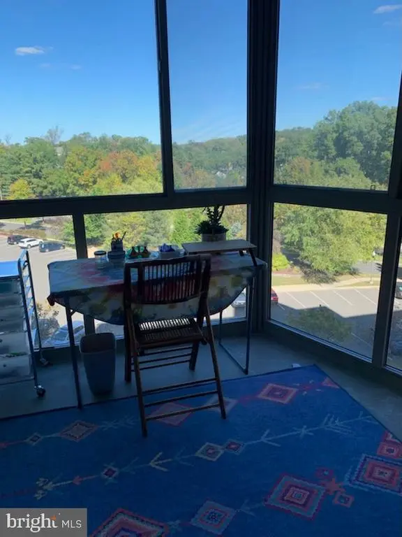 3200 N Leisure World Blvd #514, SILVER SPRING