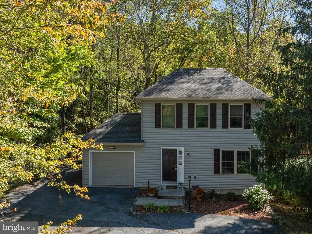 10407 Hedgeapple Ct, NEW MARKET