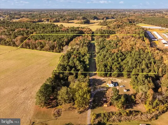 27336 Walnut Tree Rd, Salisbury