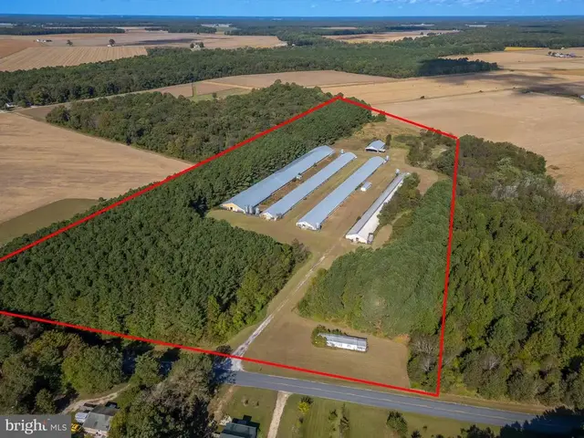 5936 Newhart Mill Rd, Rhodesdale