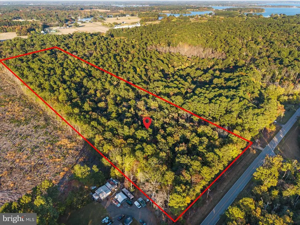 Hatchet Thicket Rd, Avenue