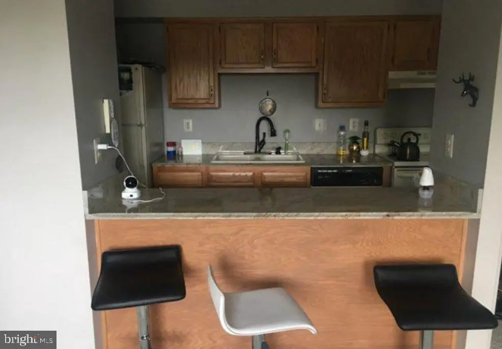 700-m Heather Ridge Dr #13m, FREDERICK