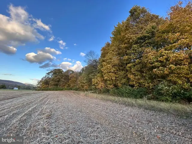 Lot #3 Linden Hall Rd, Boalsburg