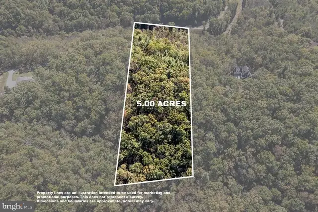 Lot 12b Graystone Lane, Winchester