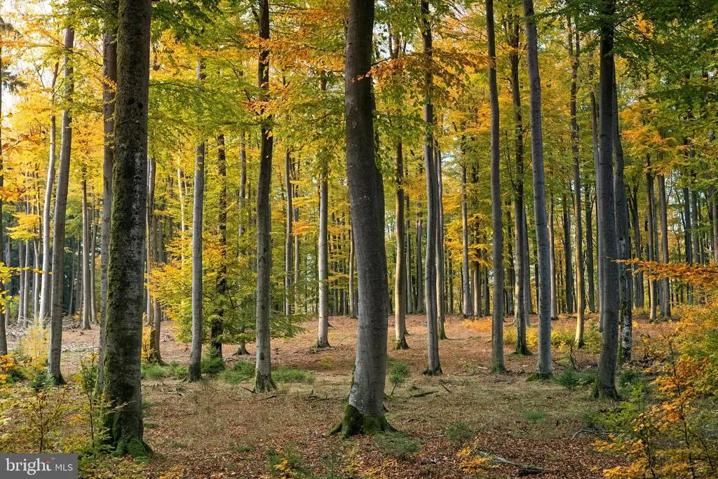 3865 Burnt House Hill Rd, DOYLESTOWN