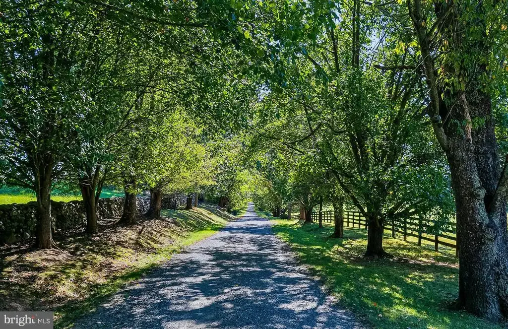 1610 Delaplane Grade Rd, UPPERVILLE
