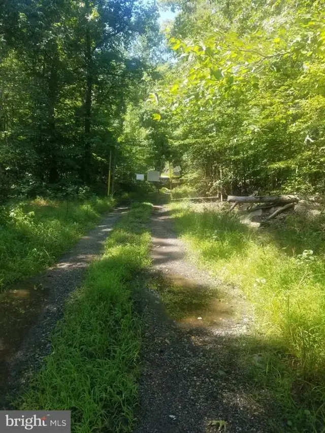 7285 Billingsley Rd, Bryans Road