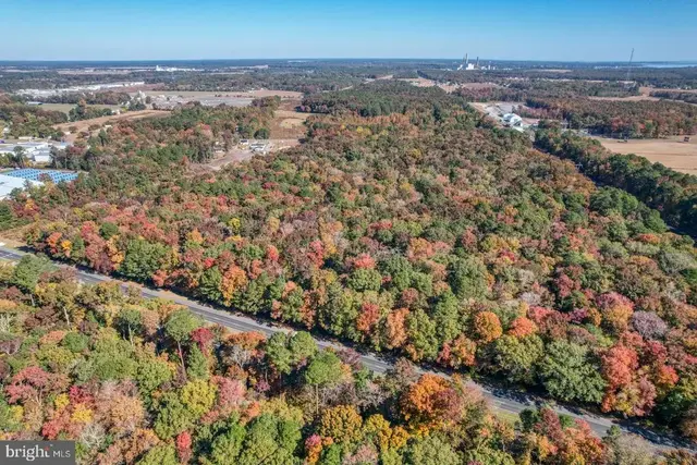 30836-parcel 2 Dupont Blvd, Dagsboro