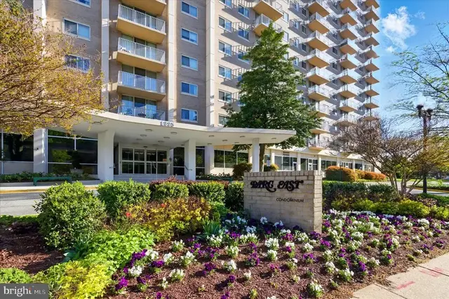 1225 Martha Custis Dr #919, Alexandria