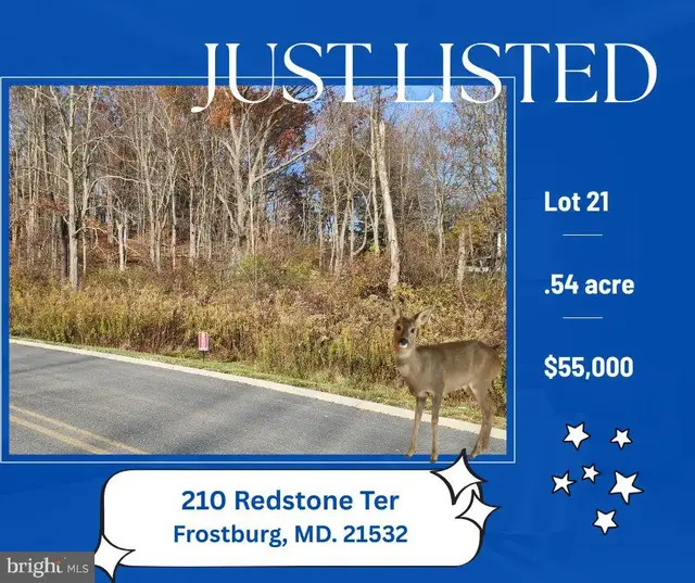 210 Redstone Ter, Frostburg