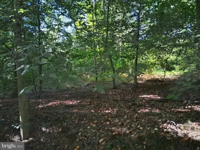 419 Cokesbury Rd, Port Deposit