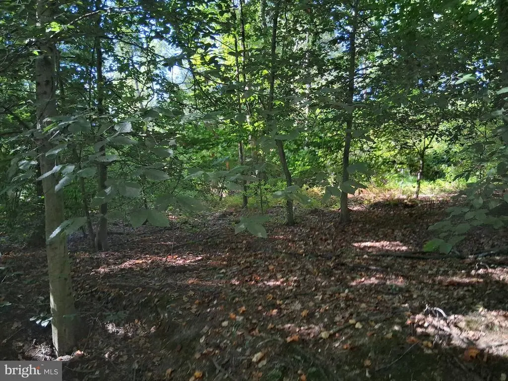 419 Cokesbury Rd, PORT DEPOSIT