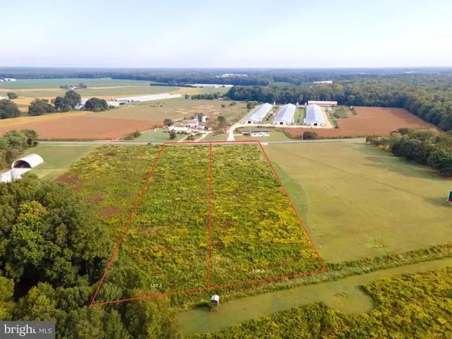Lot 2 Blanchard Rd, Bridgeville