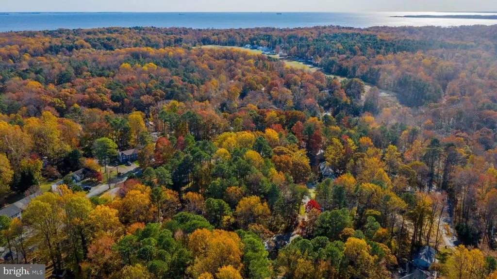 11675 Cowpoke Cir, Lusby