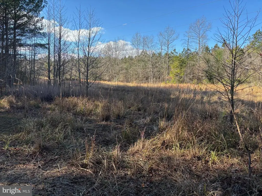 Lot 4b Mollyfield Road, Dagsboro