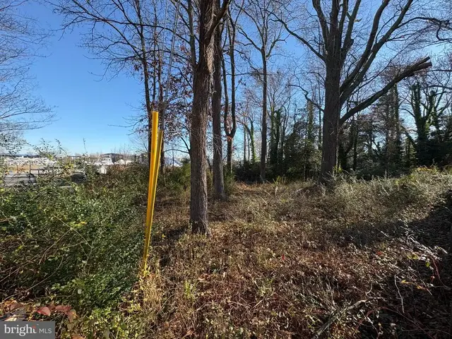 Old Turkey Point Rd, Edgewater
