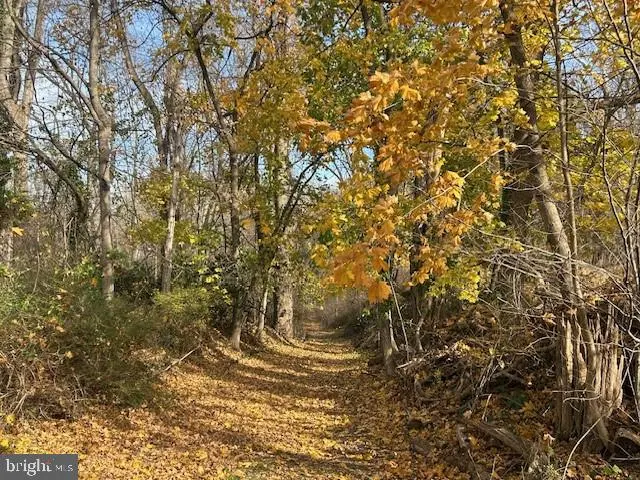 Cuba Rd, COCKEYSVILLE