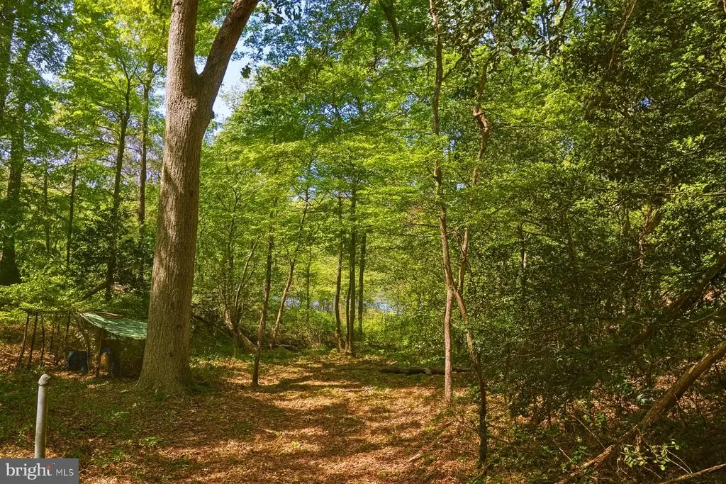 7 Gene Ave, Pasadena