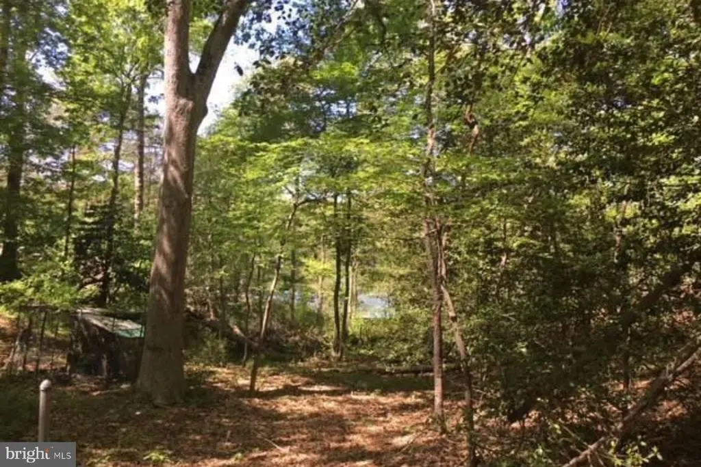 7 Gene Ave, Pasadena