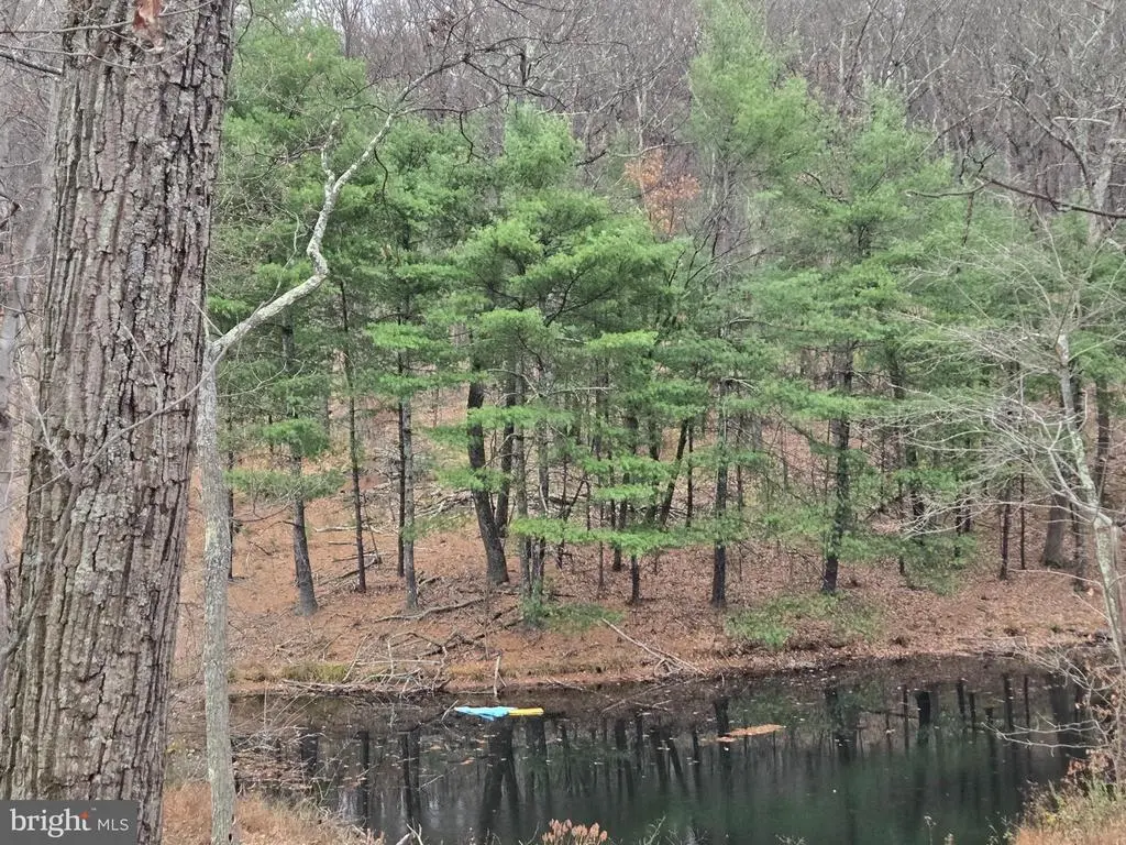 0 Shockeysville Rd, Winchester