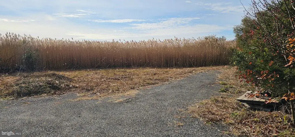 2806 Kitts Hummock Rd, Dover