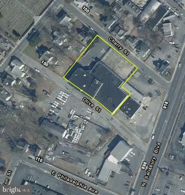 111 Olive St, Salisbury