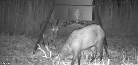 3241 Robbins Rd, Crapo