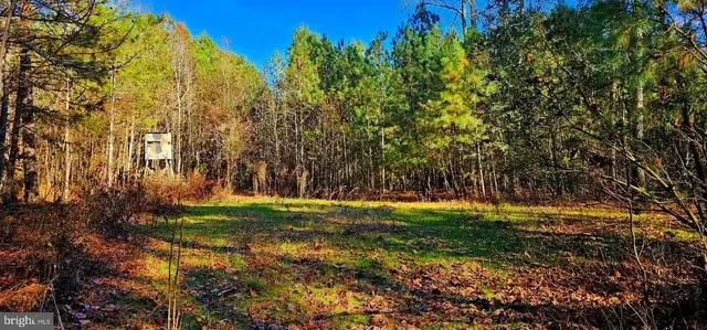 0 Riverton Rd, Mardela Springs