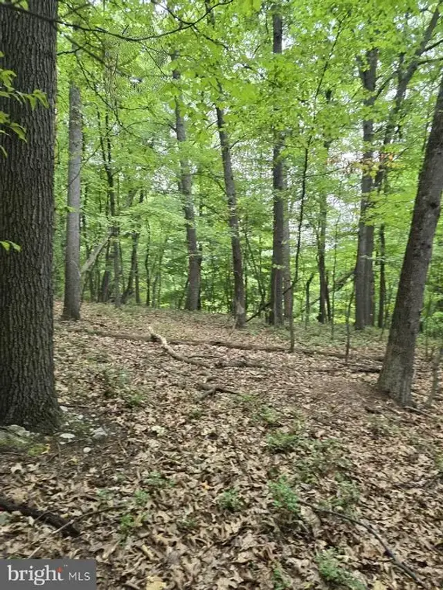 0 S Mountain Rd, Dillsburg
