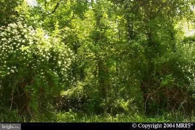 Clinton Dr, Accokeek