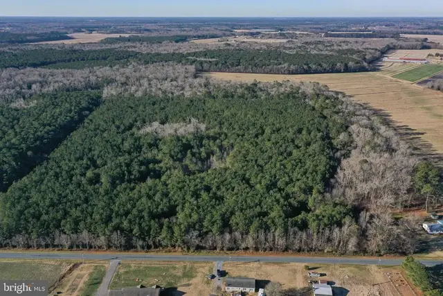 0 Bent Pine Rd, Willards