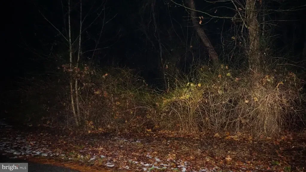 337 Dogwood Rd, Millersville