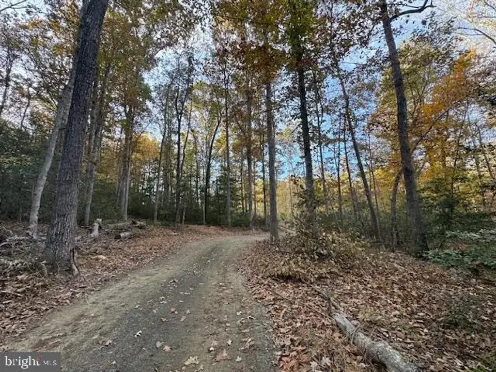 31078 Old Office Rd Lot 1, LOCUST GROVE