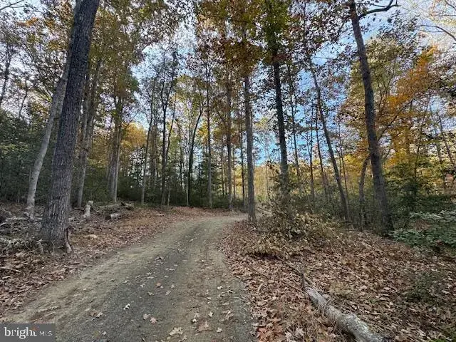 31078 Old Office Rd Lot 1, Locust Grove