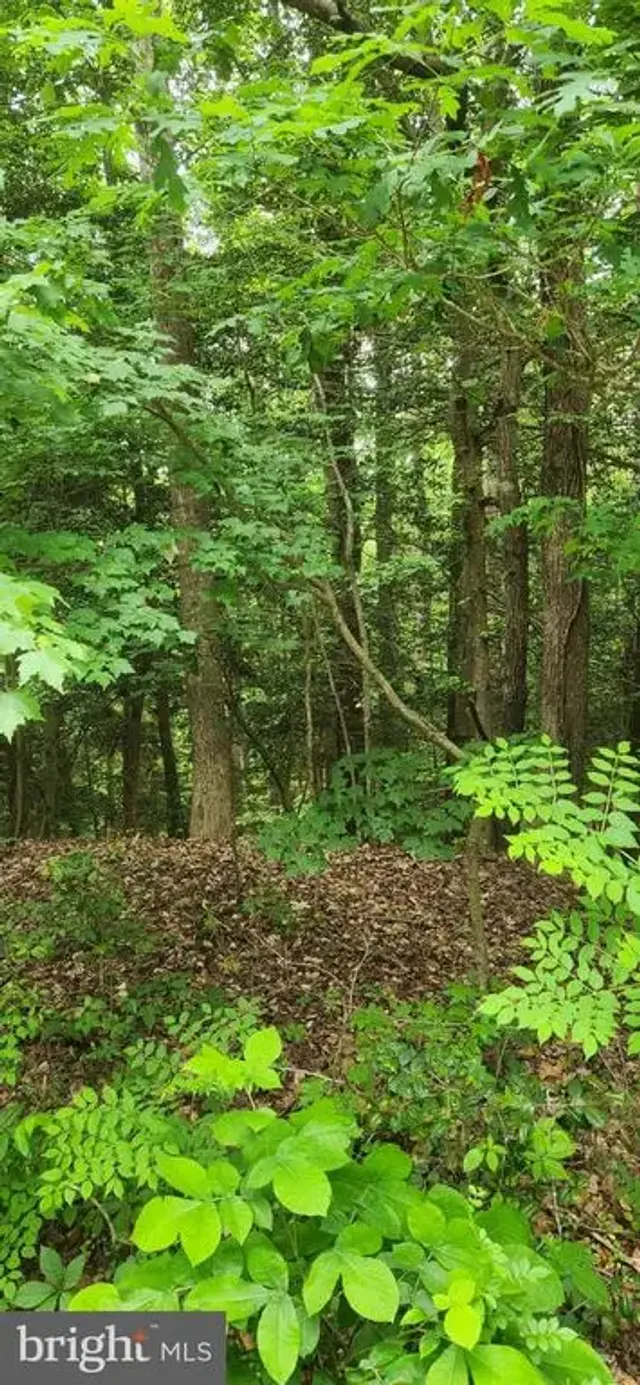 Lot 68 Traveler's Cir, Montross